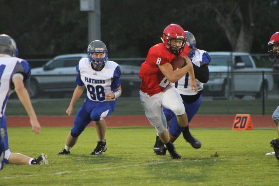 Senior and quarterback Collin Koester rushes against the Panthers on Oct. 4 . The Cardinals took this game 64-8.  Koester leads the Cardinals in rushing this season with 883 yards. 