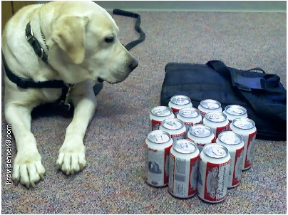 Providence Working Canines’ website has a gallery showcasing the contraband their dogs have found from students. The photo above is one example of their many finds.