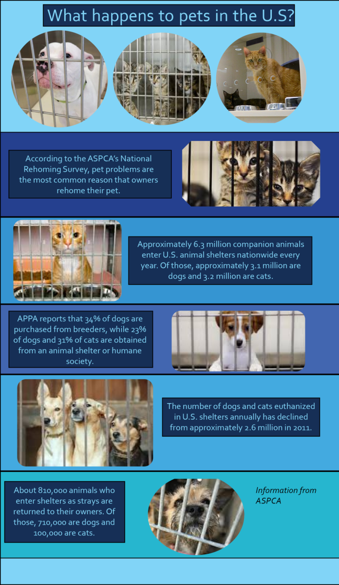 What happens to pets in the U.S?