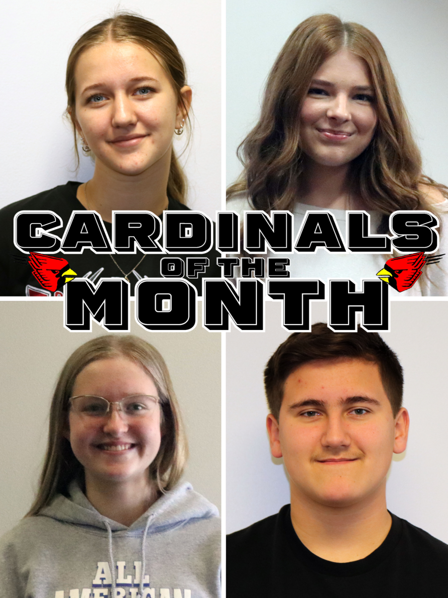December Cardinals of the Month Sponsored by Jamie Lange Photography