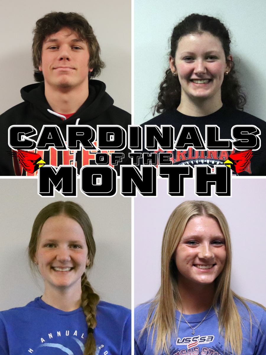February Cardinals of the Month Sponsored by Needle & Thread